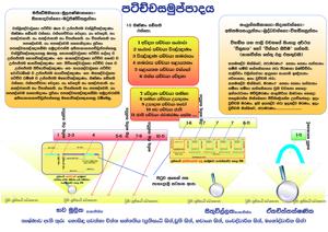 පටිච්චසමුප්පාදය 02.jpg